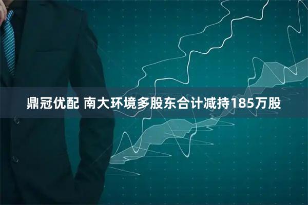 鼎冠优配 南大环境多股东合计减持185万股